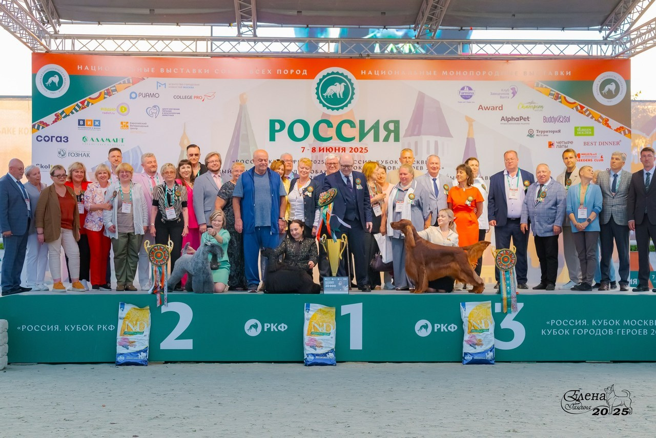 Отзывы. Фотограф анималист Елена Галдина г. Красноярск