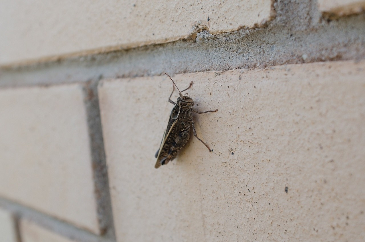 Дары Природы. Sreda fotoArt