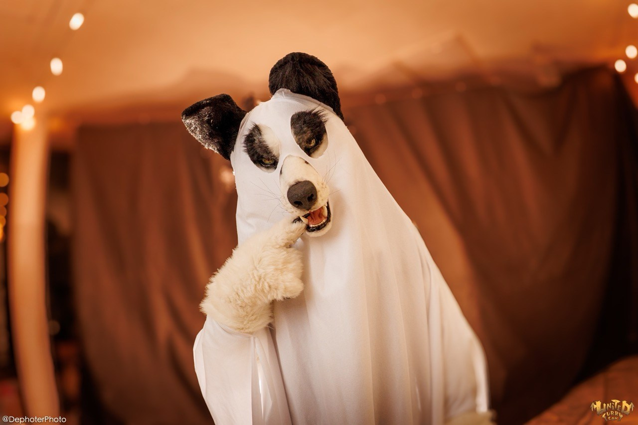 United Furry Convention 2026. Различные мероприятия и просто фотографии людей