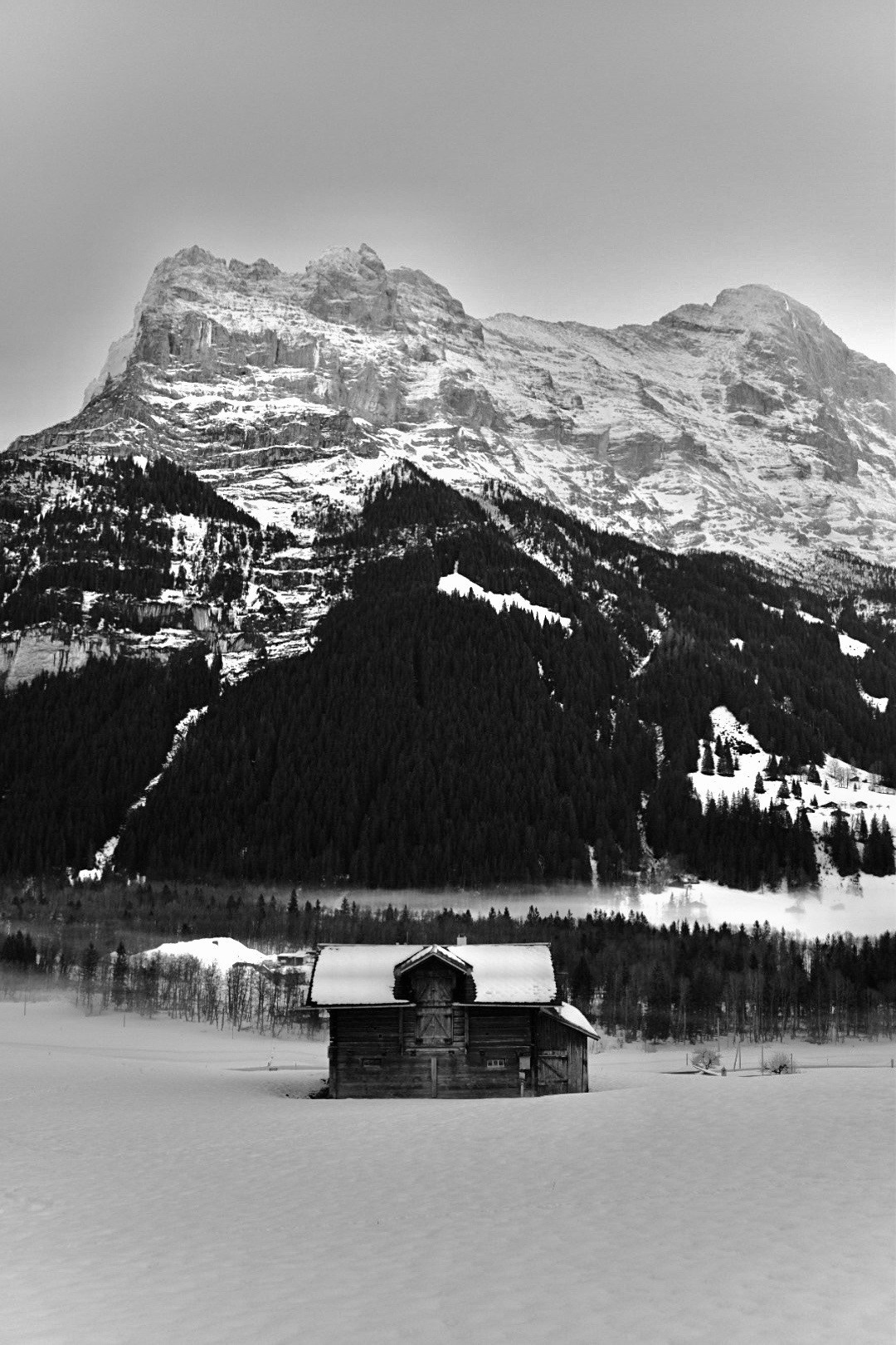 Grindelwald. Фотограф в Москве