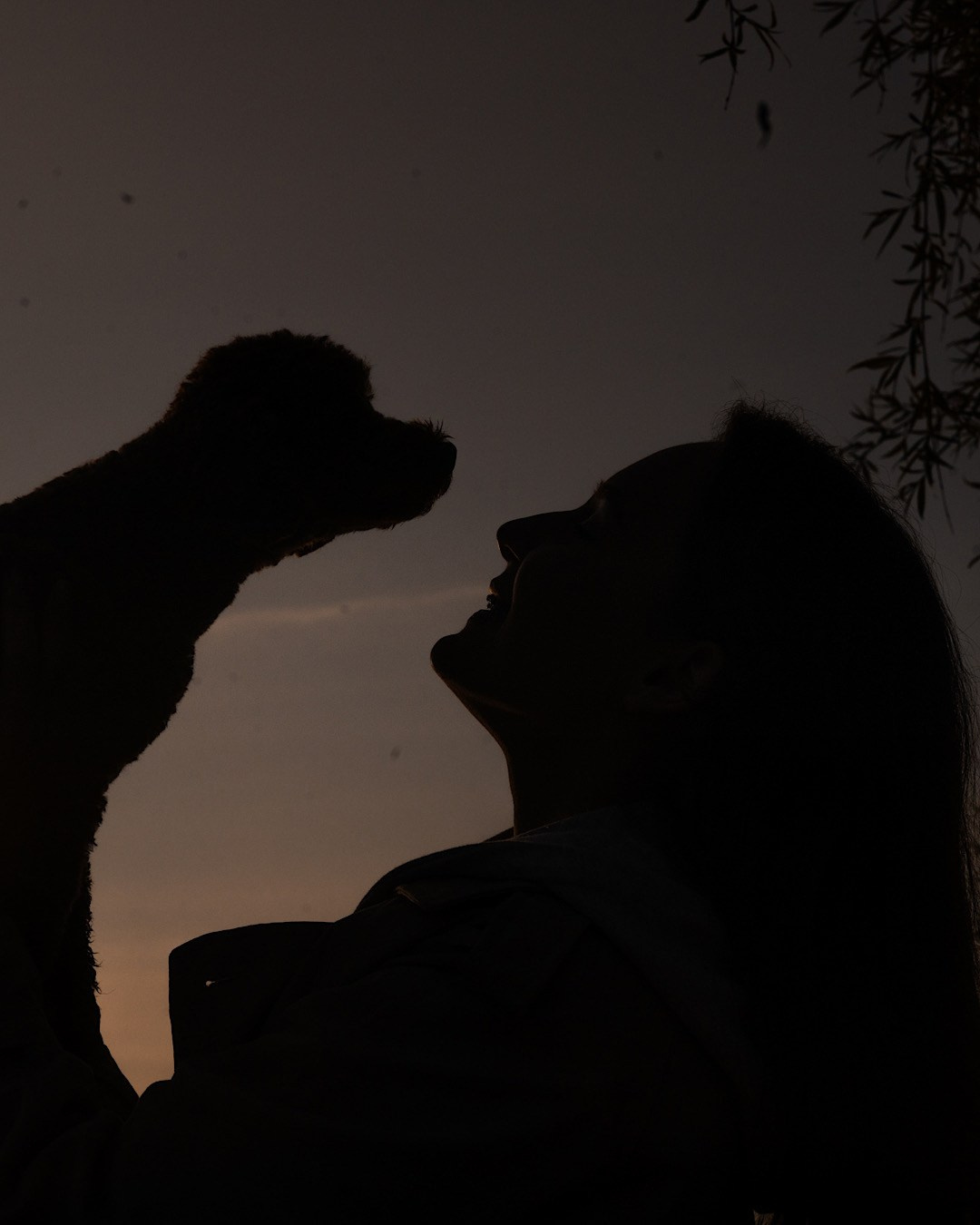 Лия и Чарли. Фотограф анималист в Москве и Санкт-Петербурге Свиридова Анна