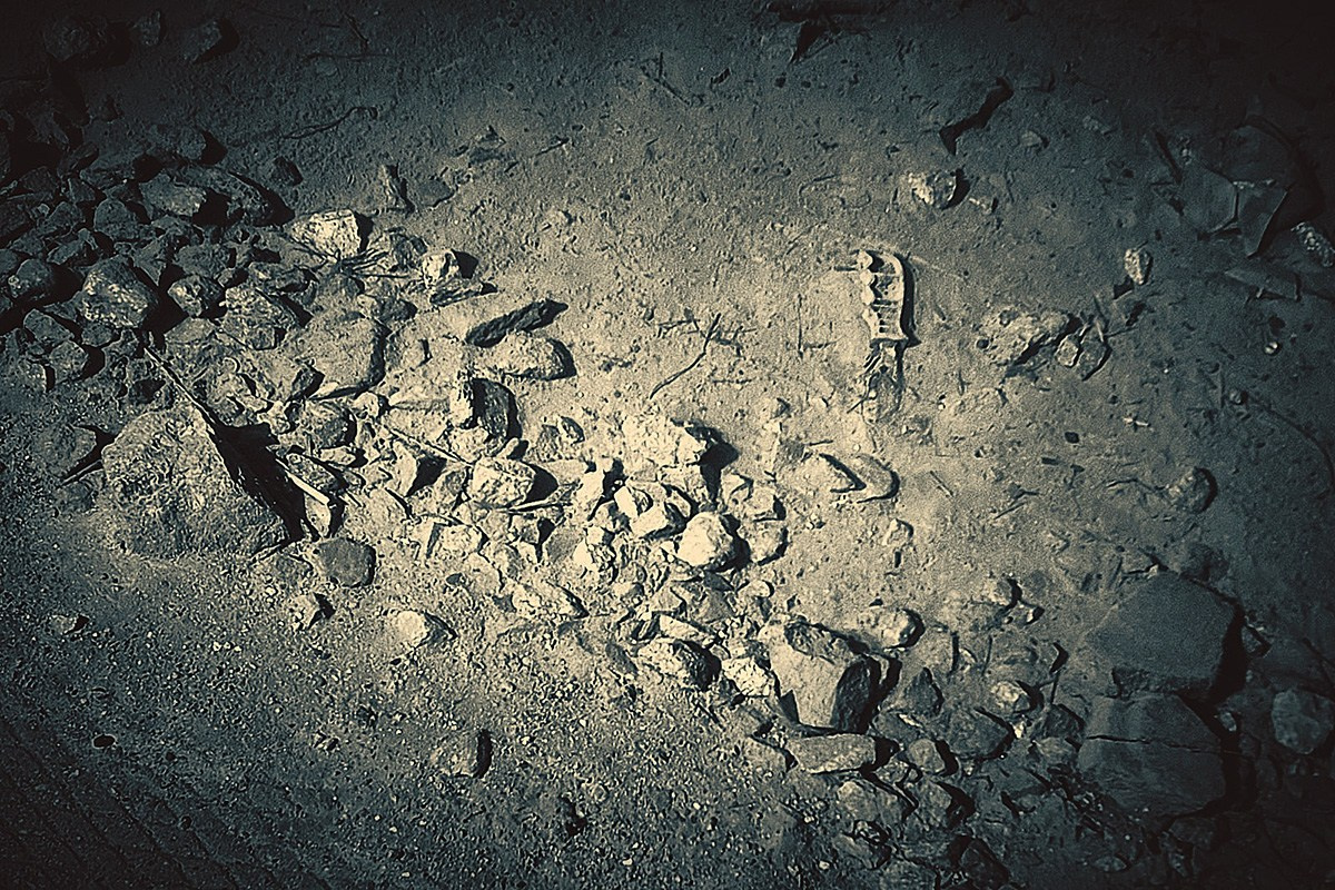 Многие фотографы снимают исключительно в ч/б — почему?. НЕЙРО-АРТы Воеводова