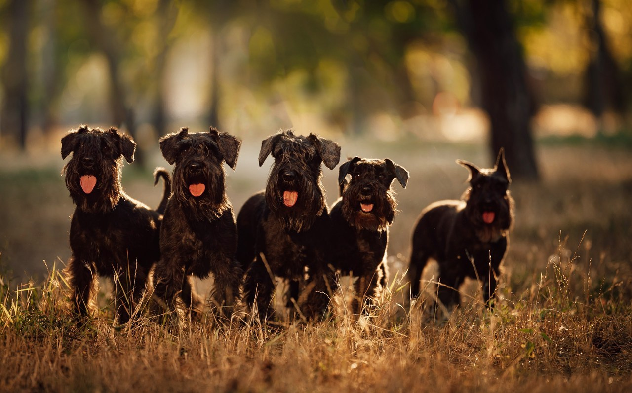 Отзывы. Фотограф Варвара Ермоленко