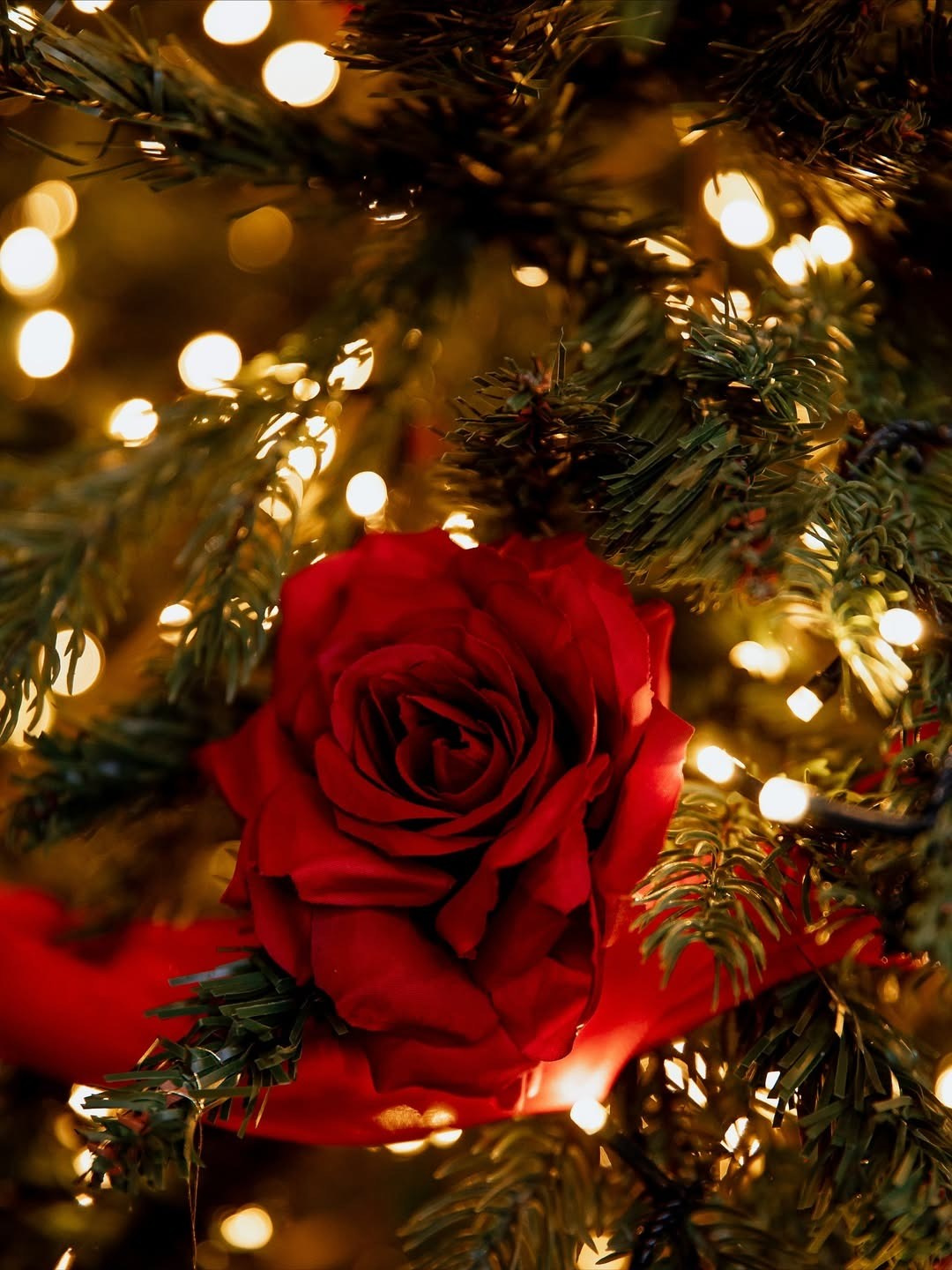 Зал BLACK APART (Воропаева). Фотограф для жизни, бизнеса и соц сетей Ирина Нечет, Владивосток