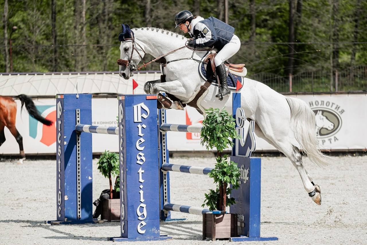 МУНИЦИПАЛЬНЫЕ СОР-Я ПО КОНКУРУ, ПОСВЯЩЕННЫЕ ДНЮ ПОБЕДЫ — ВИВАТ!. Куракина Дарья • Конный фотограф