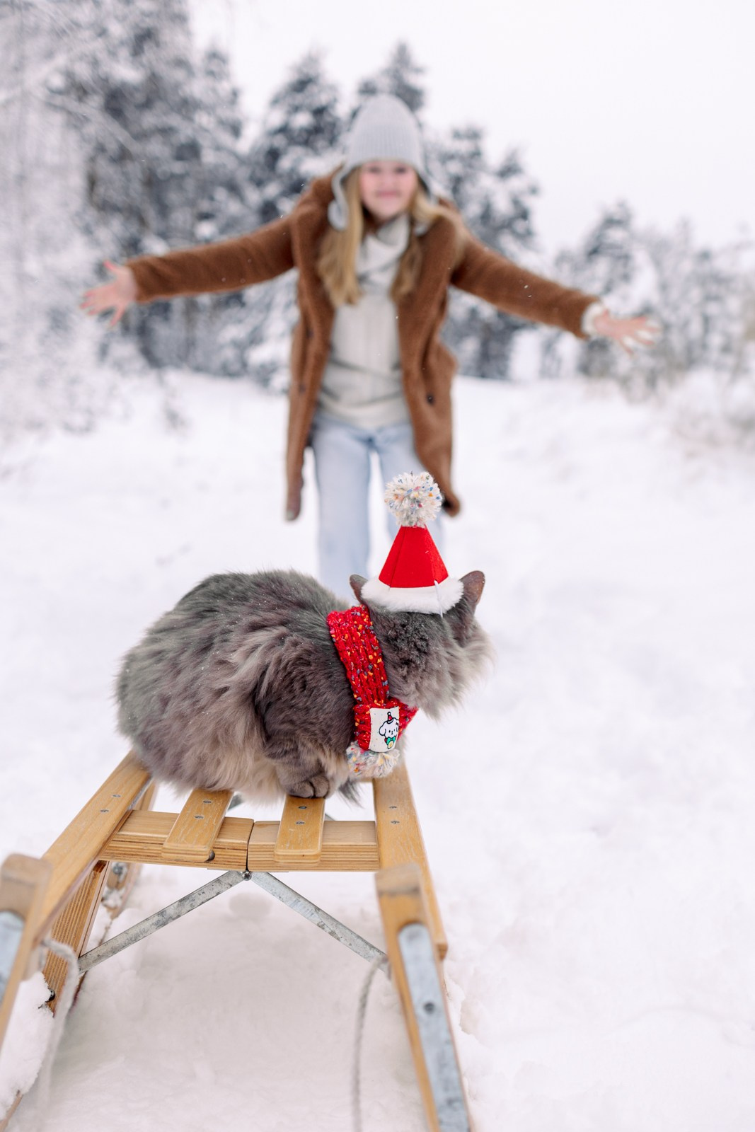 Прогулка. Ваш фотограф Наталья Лаэтина