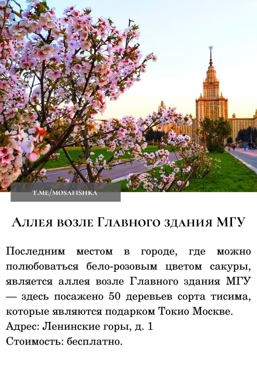 Локации для фотосессии в Москве