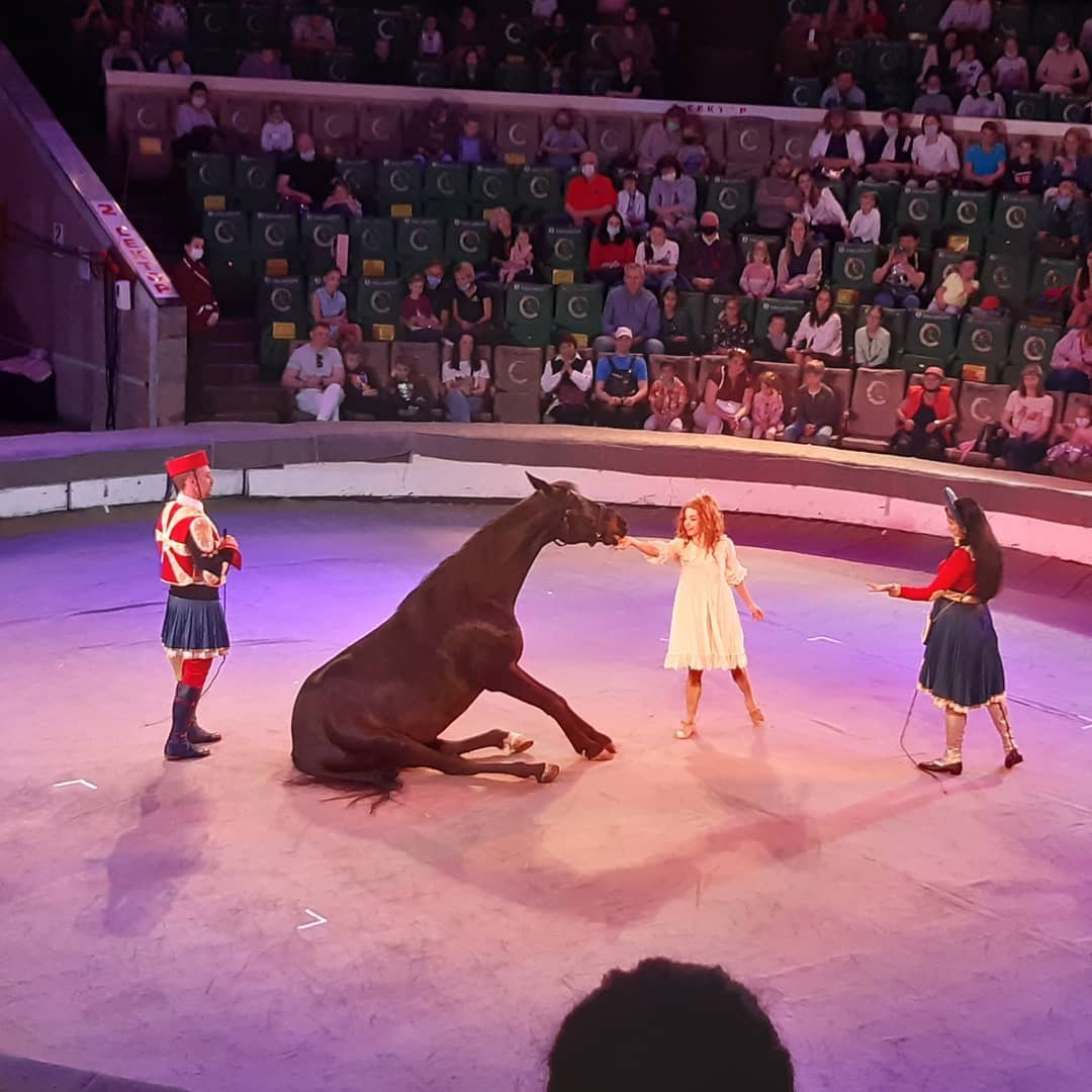 Волшебство цирка: «Девочка и слон» захватил наши сердца!