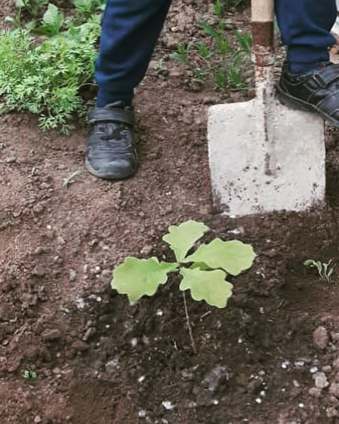🎖️ 75 ЛЕТ ВЕЛИКОЙ ПОБЕДЫ: ПАМЯТЬ, КОТОРАЯ ОБЪЕДИНЯЕТ! 🎖️