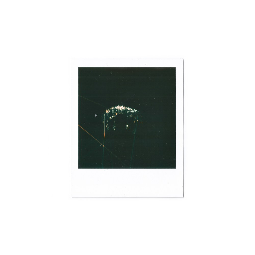 POLAROID. Моисеев Никита / moiiiita