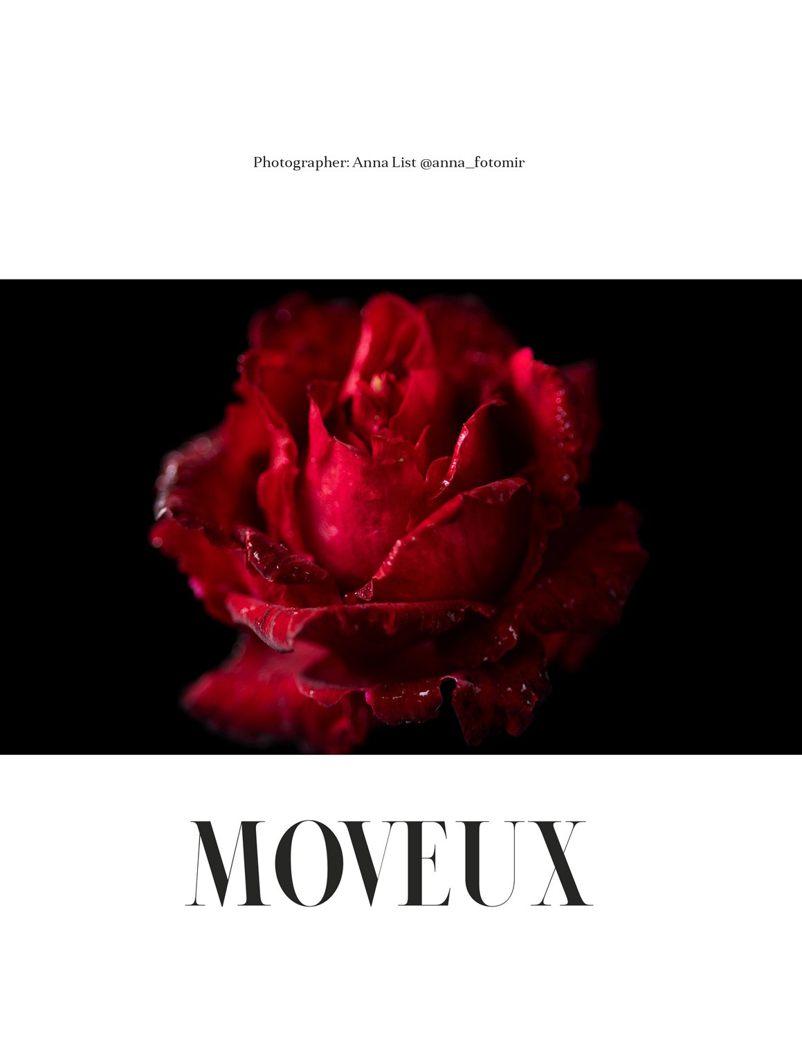 Exhibitions. Author’s fine art prints with international delivery