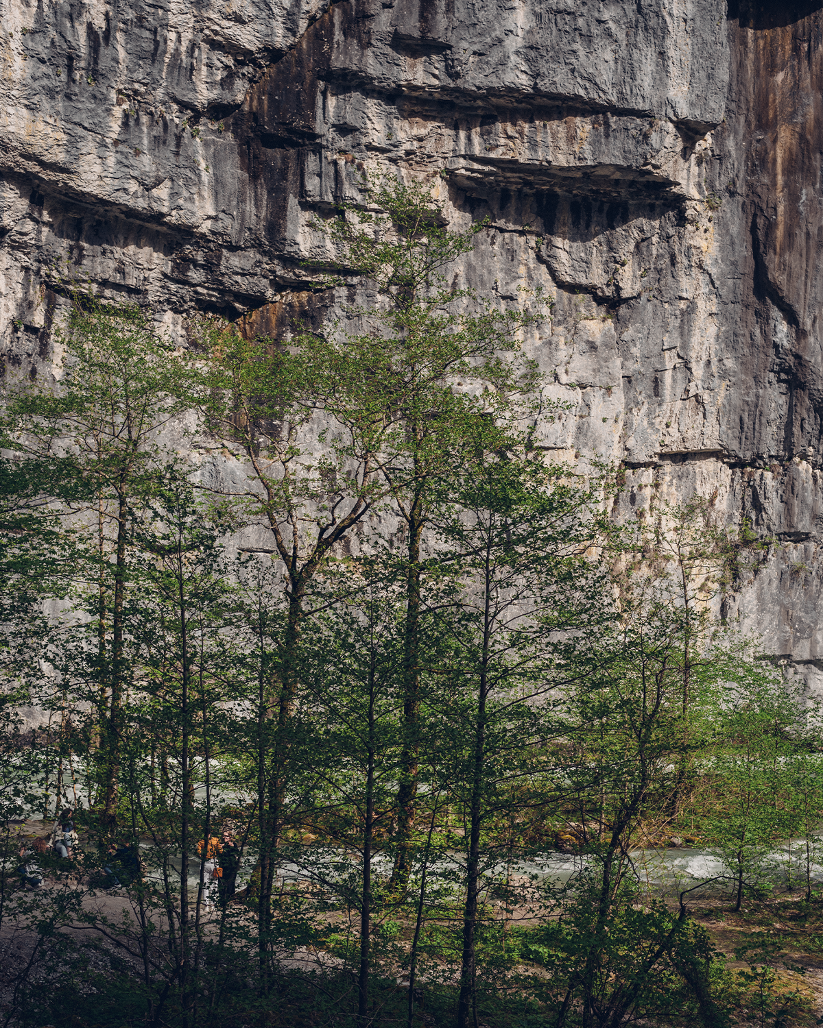 Абхазия в объективе: путешествие рекламного фотографа из Гуанчжоу. Коммерческий и предметный фотограф в Гуанчжоу Коваленко Александр
