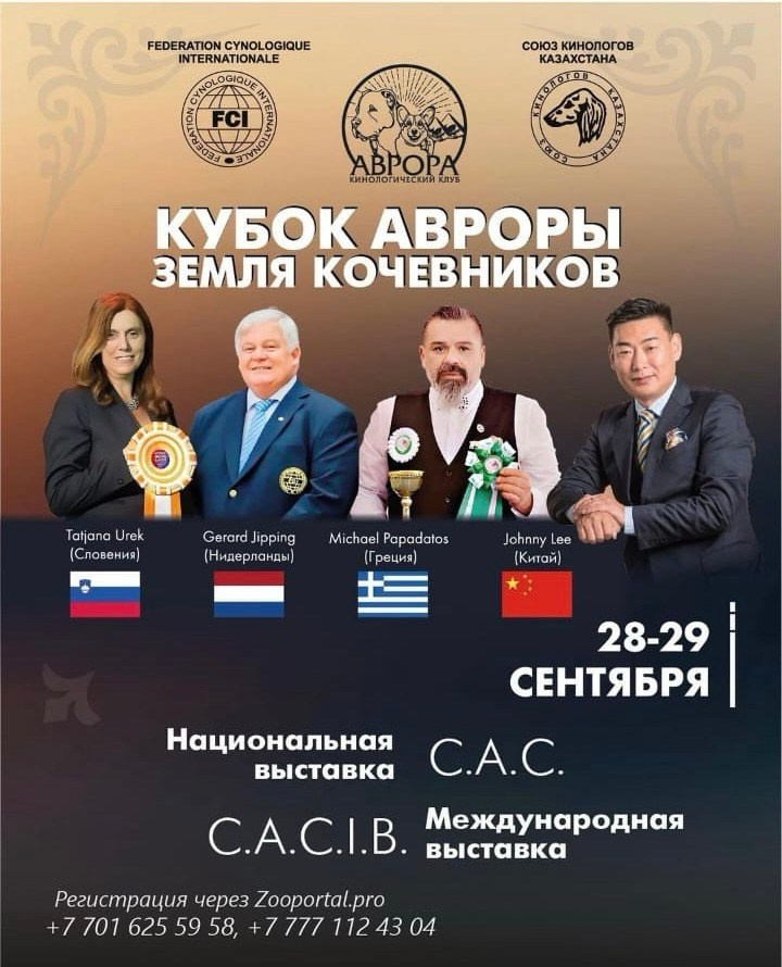 Участие в выставках. Американские булли XL в г. Калининград. Питомник Great Bully UNIVERSE