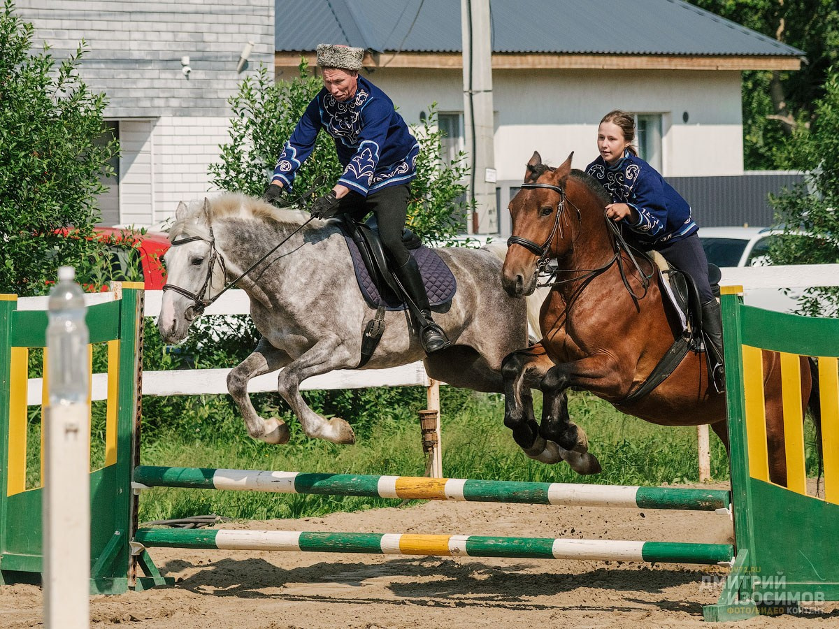 Скачки фаворитов 2024