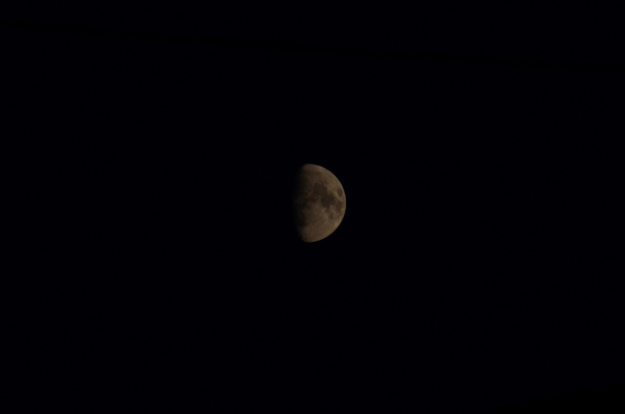 Дары Природы. Sreda fotoArt