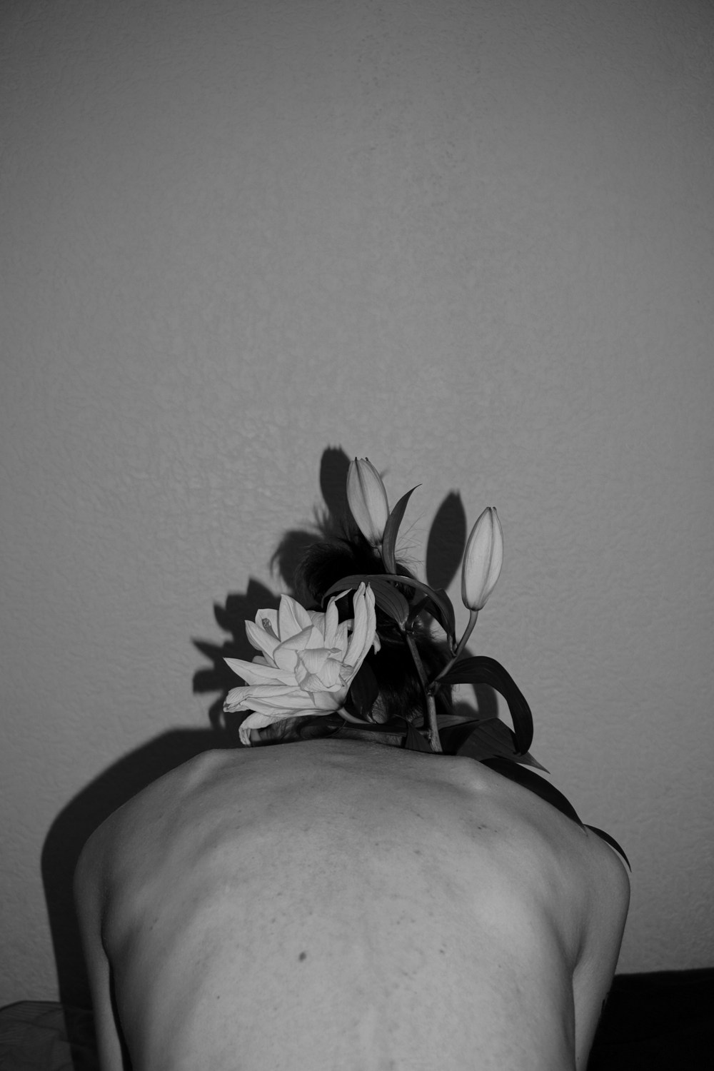 There is a branch in my shoulder. Maria Barakova