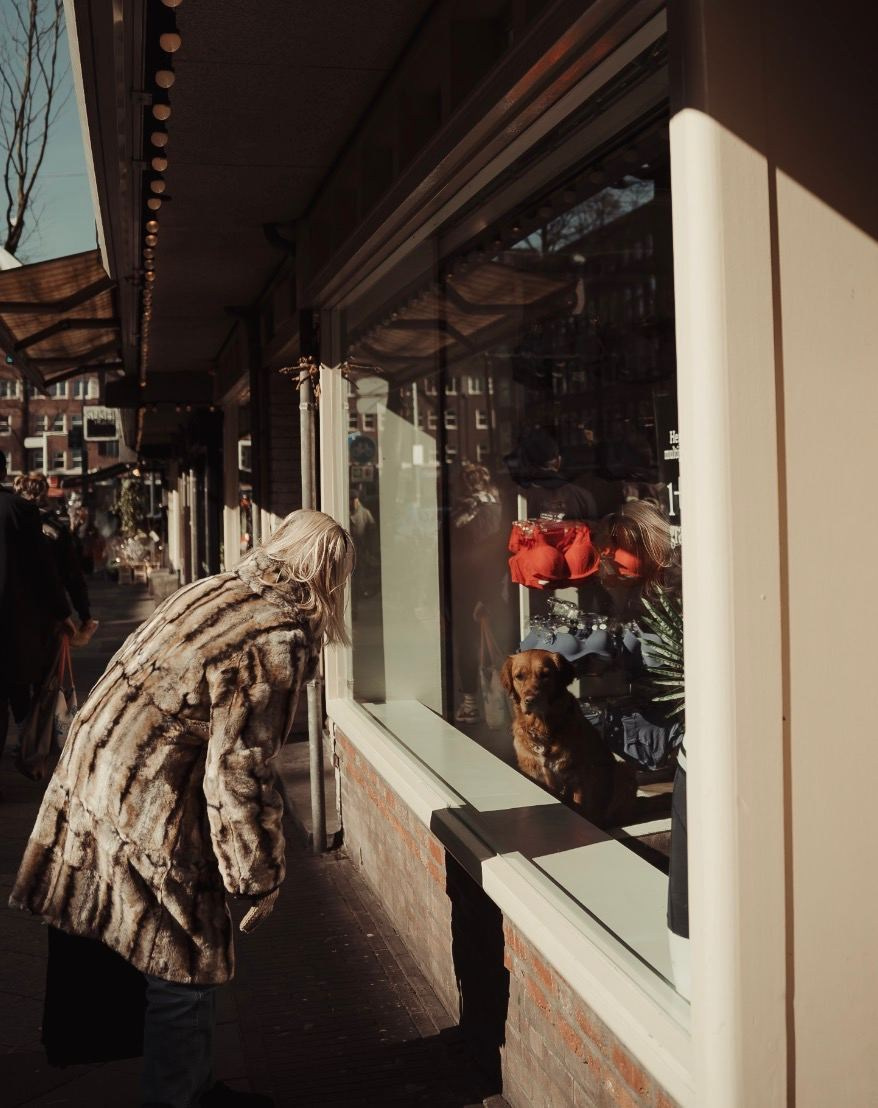 Straatfoto’s. Фотографии о вас и вашем питомце