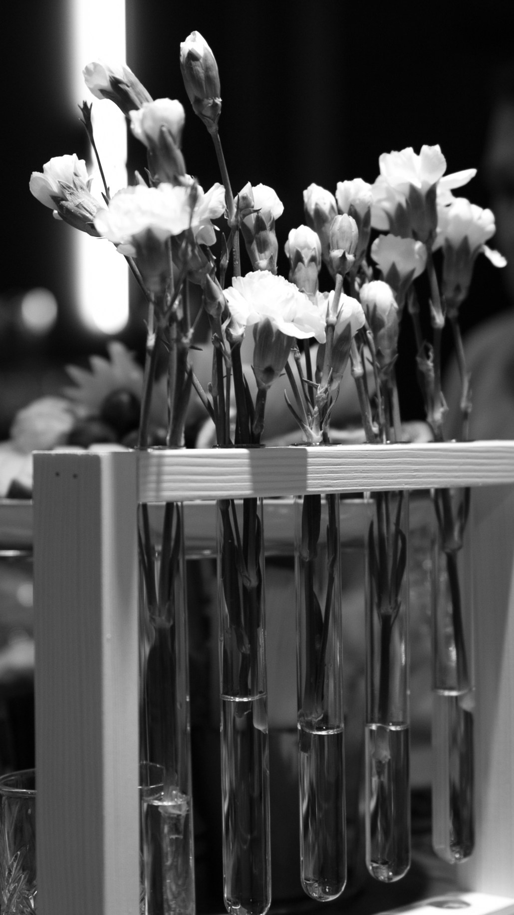 Свадебная фотография. СВАДЕБНАЯ И ПОРТРЕТНАЯ ФОТОГРАФИЯ КРАСНОДАР | Анна&Эдуард МАЙЕР