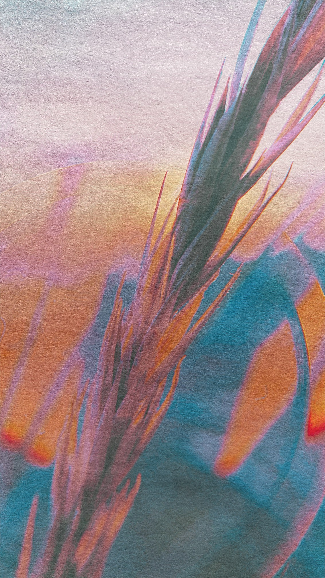 Фотографии. Visual artist