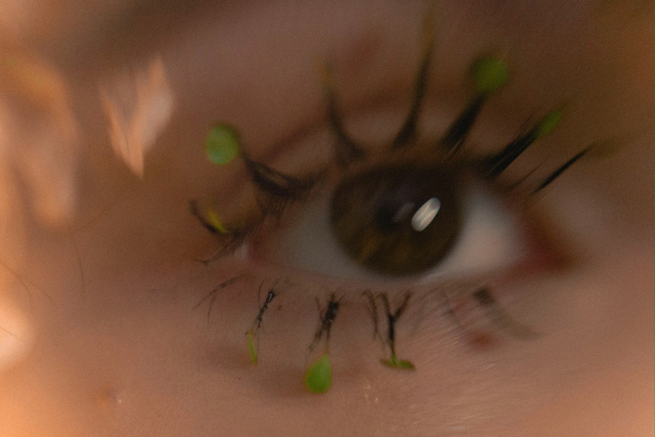 Фотограф Синицына Анна