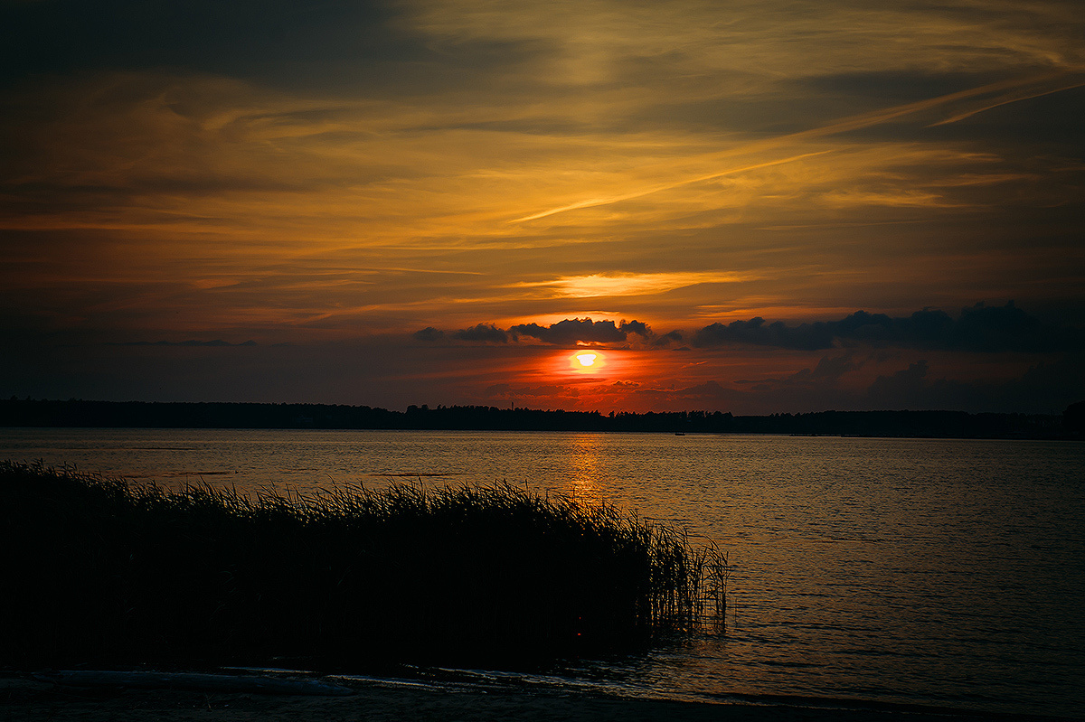 Анжелика и Егор. Свадебный и семейный фотограф в Новосибирске Александр Счастный