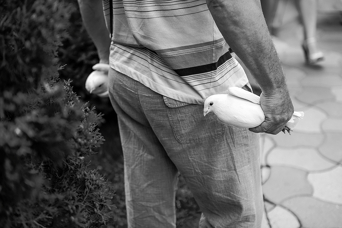 Лена и Денис. Свадебный и семейный фотограф в Новосибирске Александр Счастный