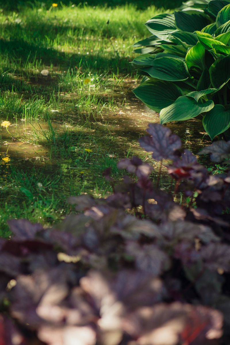 Екатеринский парк. Видеограф и фотограф на свадьбу в Москве