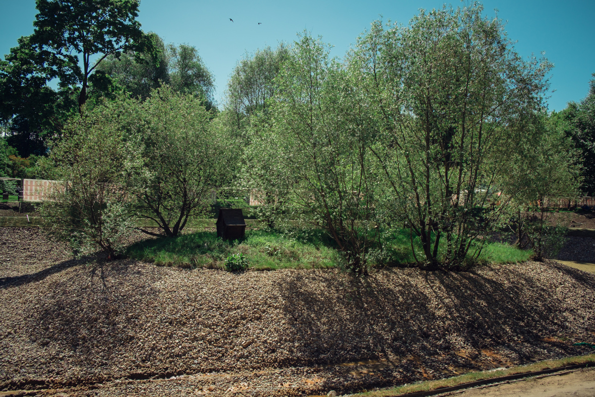 Екатеринский парк. Видеограф и фотограф на свадьбу в Москве