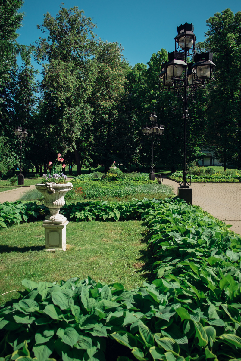 Екатеринский парк. Видеограф и фотограф на свадьбу в Москве