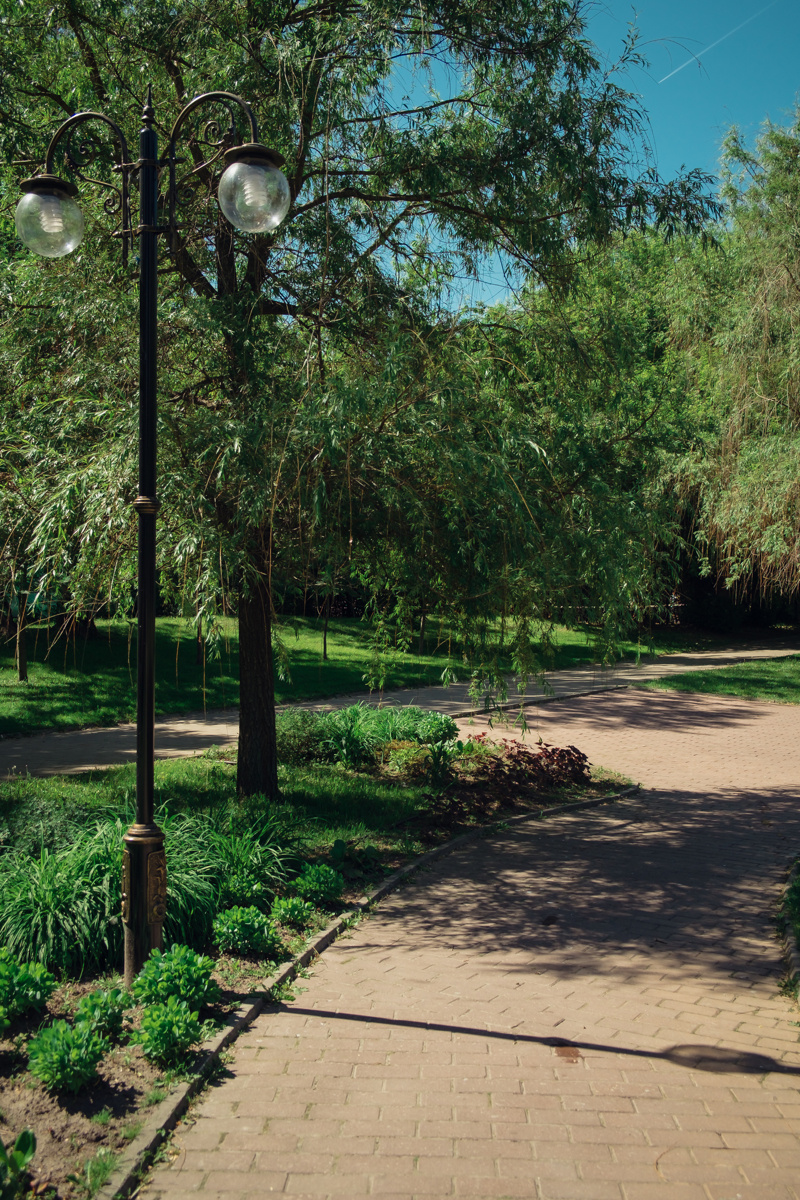Екатеринский парк. Видеограф и фотограф на свадьбу в Москве