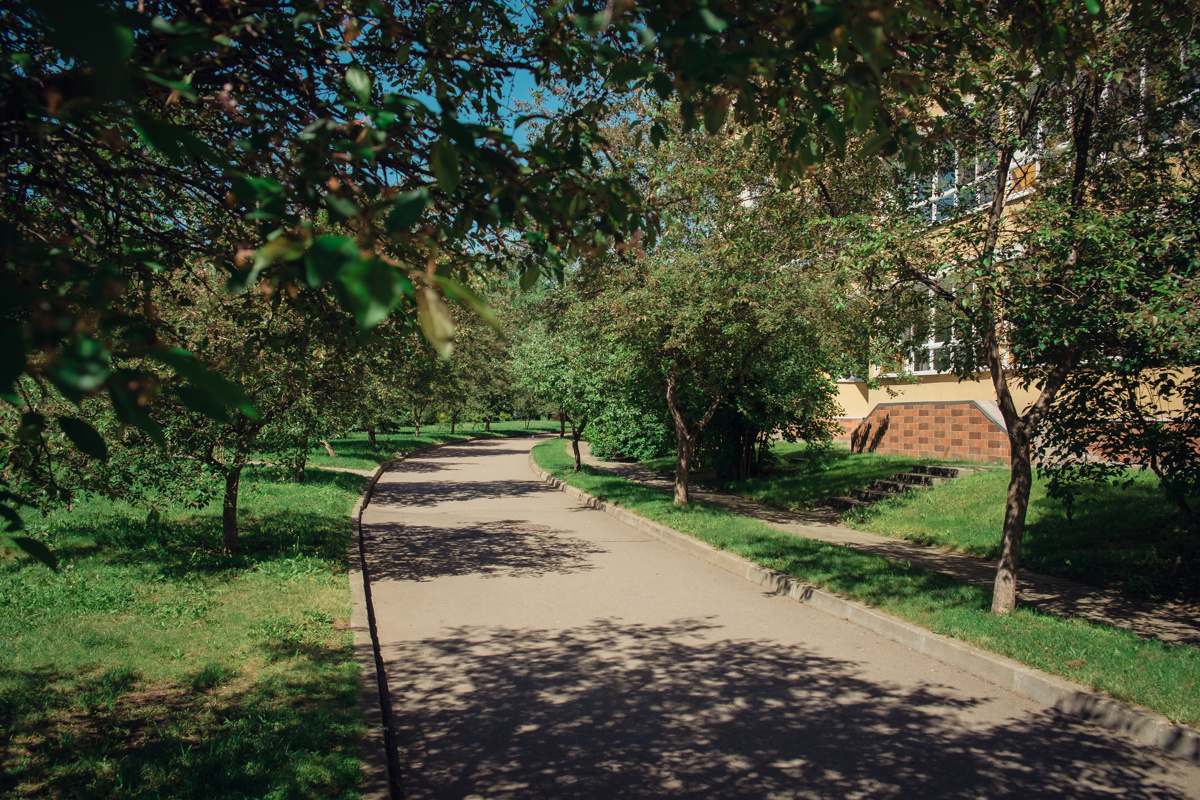 Екатеринский парк. Видеограф и фотограф на свадьбу в Москве