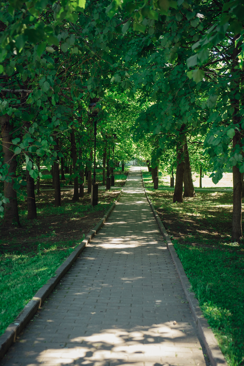 Екатеринский парк. Видеограф и фотограф на свадьбу в Москве