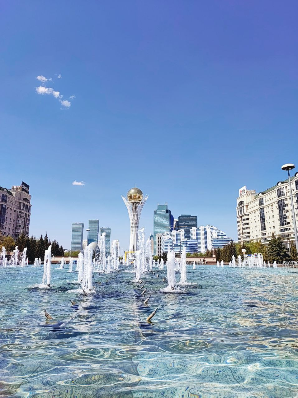 Намобилкус казахский. Репортажный фотограф Алексей Пирязев