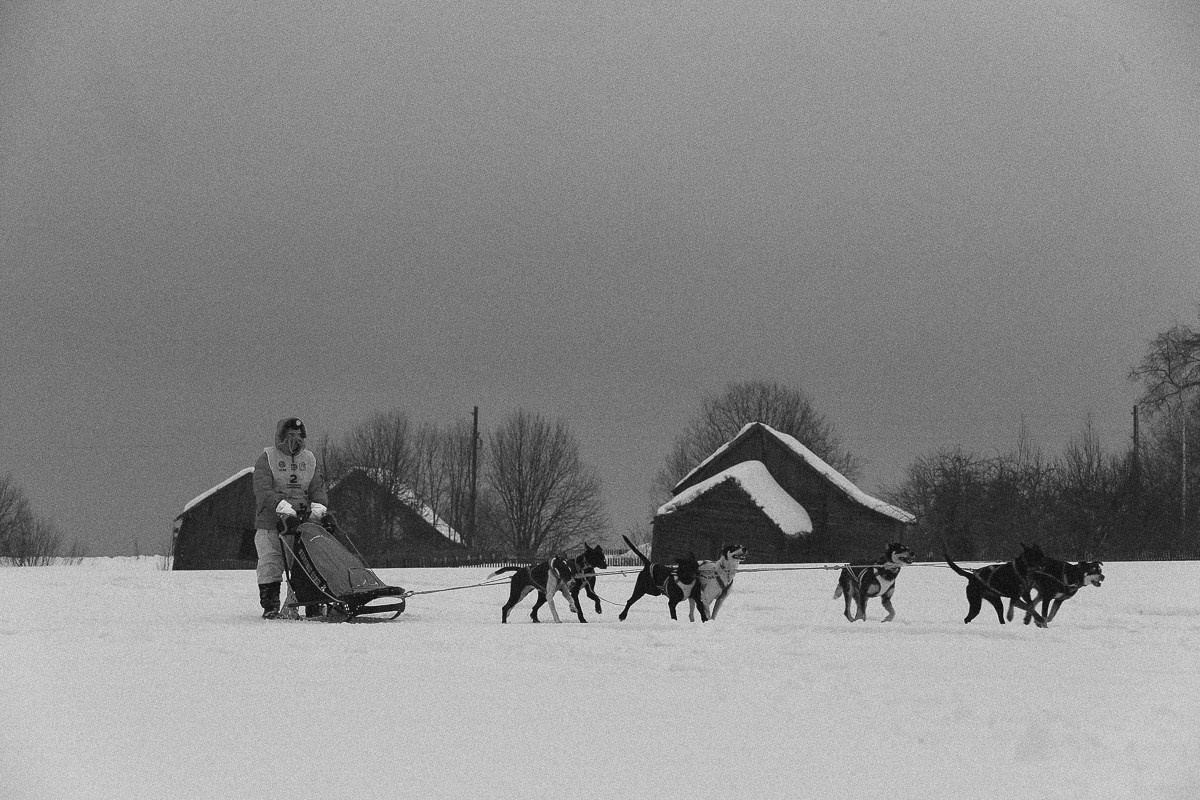 Северная Надежда. Виктор Вытольский —репортажный и событийный фотограф в Москве