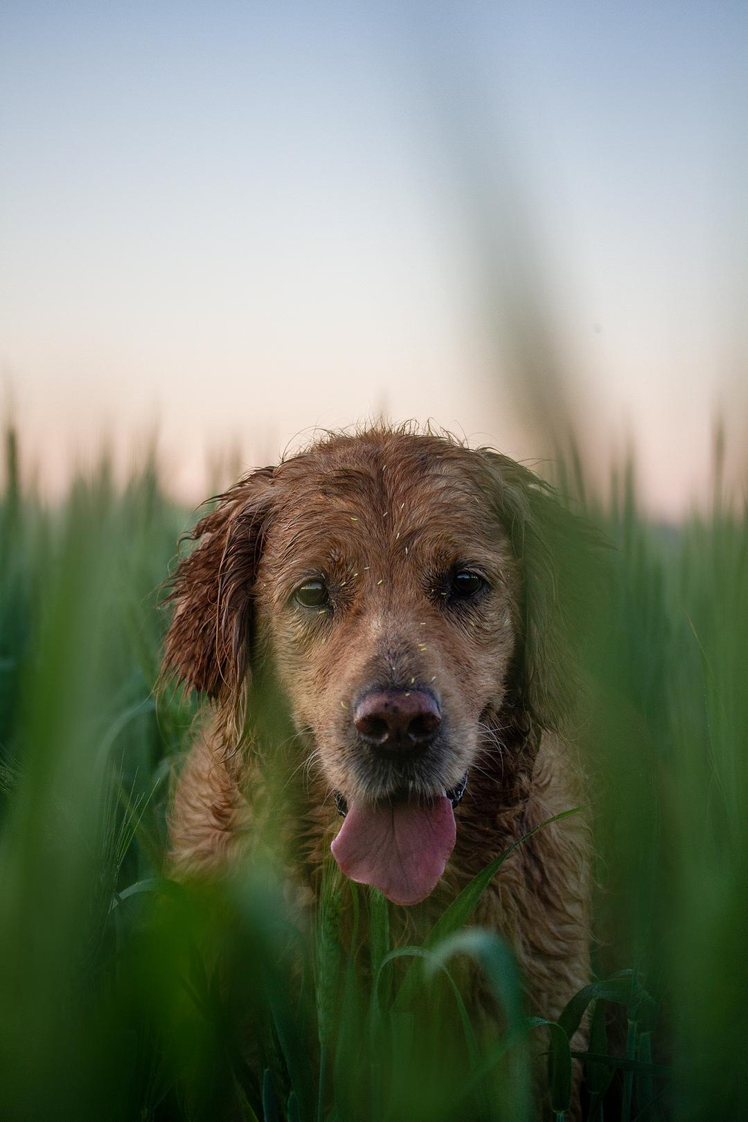 Пампуша и Катя. Фотограф Ирина Астор