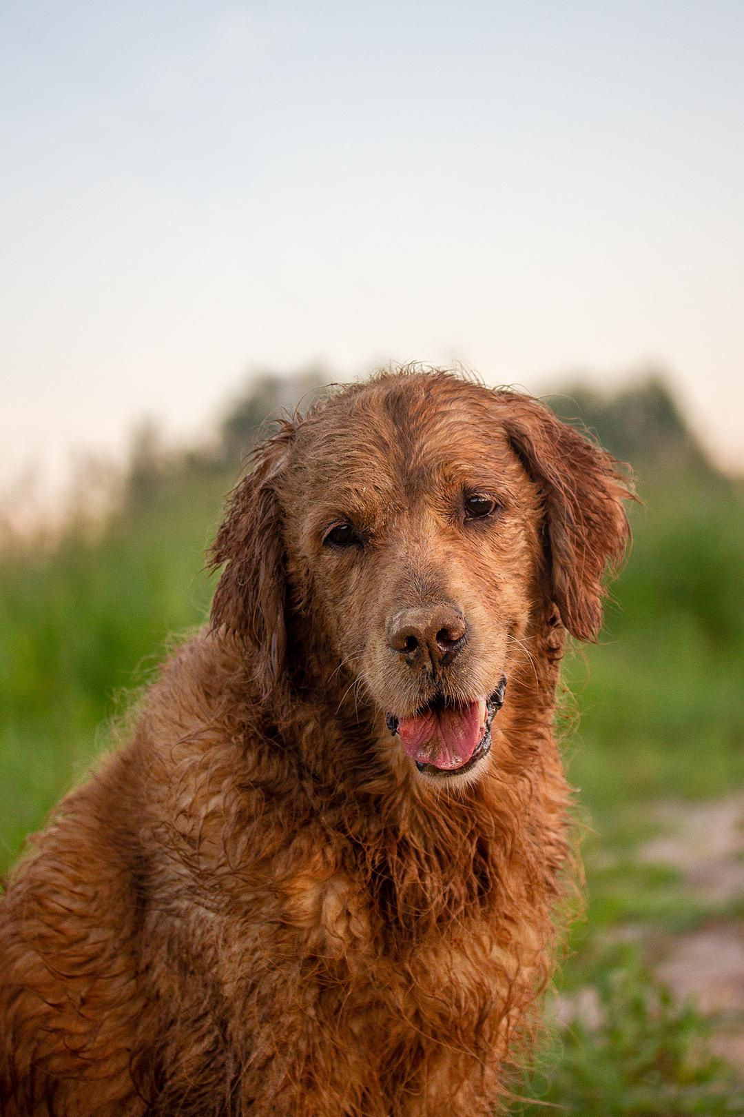 Пампуша и Катя. Фотограф Ирина Астор