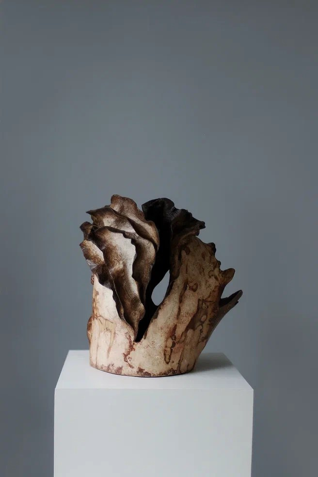 Эволюция духа 1. ЕЛЕНА МЕШКОВА мультидисциплинарный художник