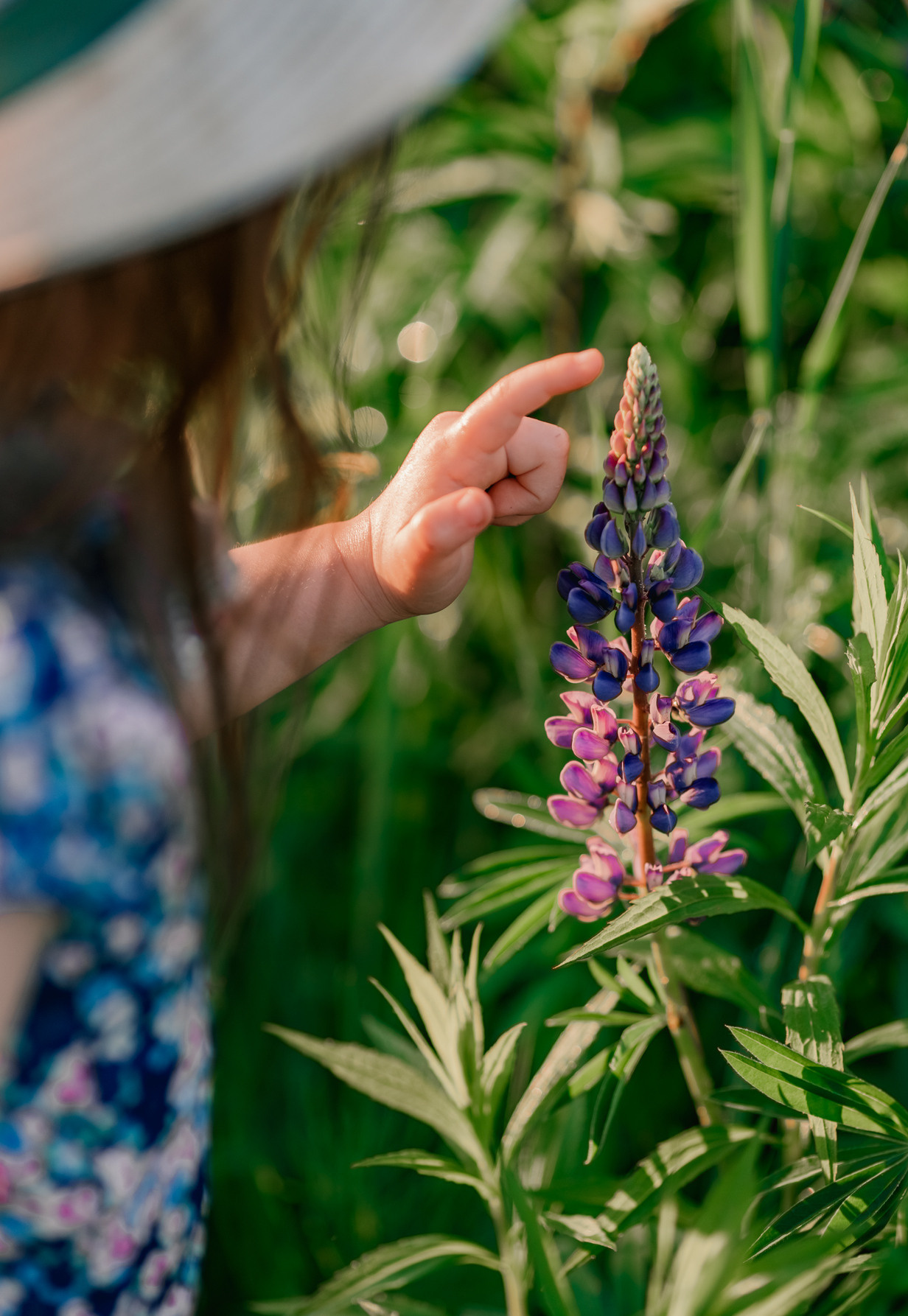 Люпин ИЮНЬ. Семейный и детский фотограф |Брянск| Анастасия Перепелкина