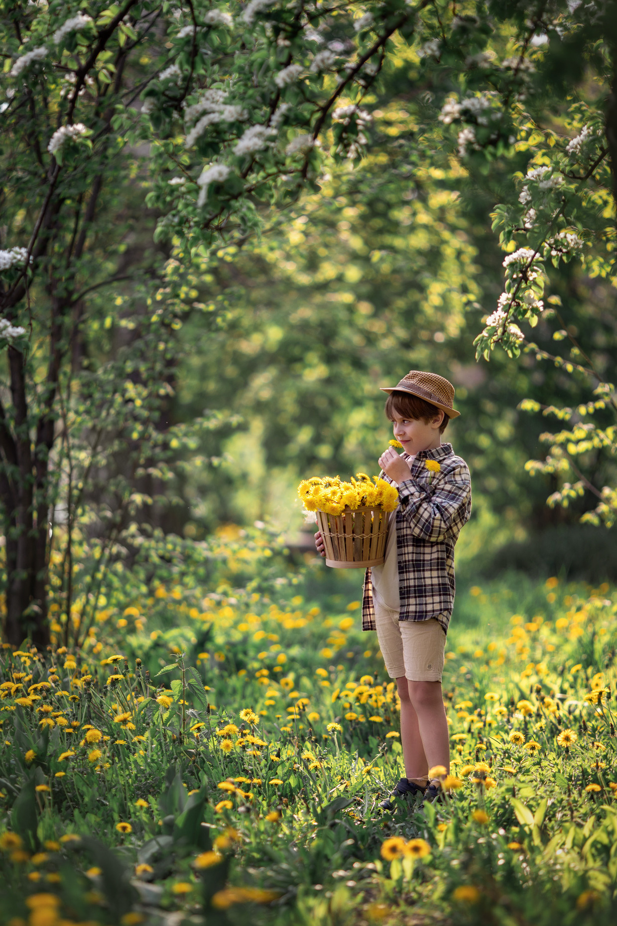 Одуванчики. Семейный и детский фотограф |Брянск| Анастасия Перепелкина