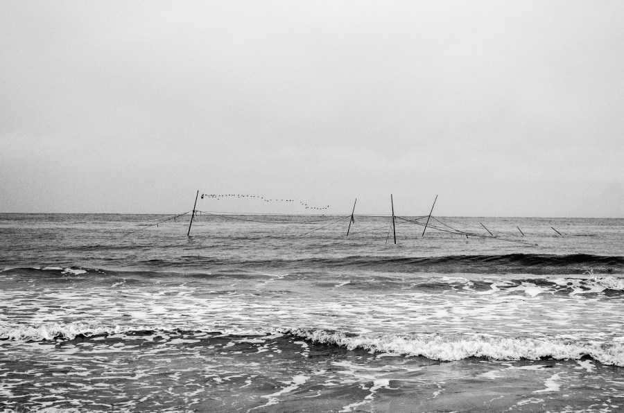 Summer Shore. Vitaly Severov