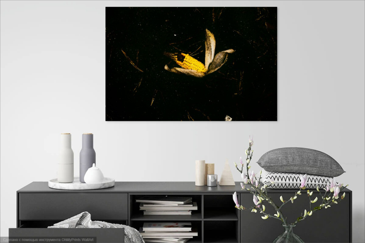 Визуализация моих картин (visualization of my paintings in the interior). Фотограф (photographer) Lischinski Vitaliy