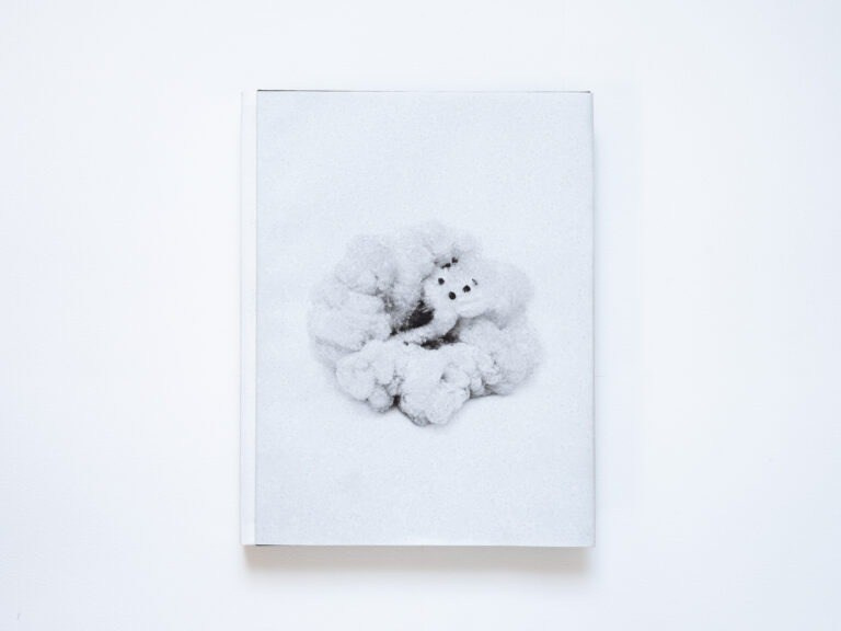 INTERVIEW WITH THE ARTIST: MOE SUZUKI. Самоорганизация Низина