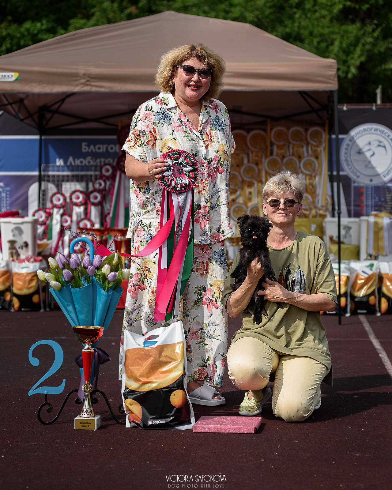 10 августа 2024. Благовещенск. Фотограф анималист Благовещенск. Сафонова Виктория