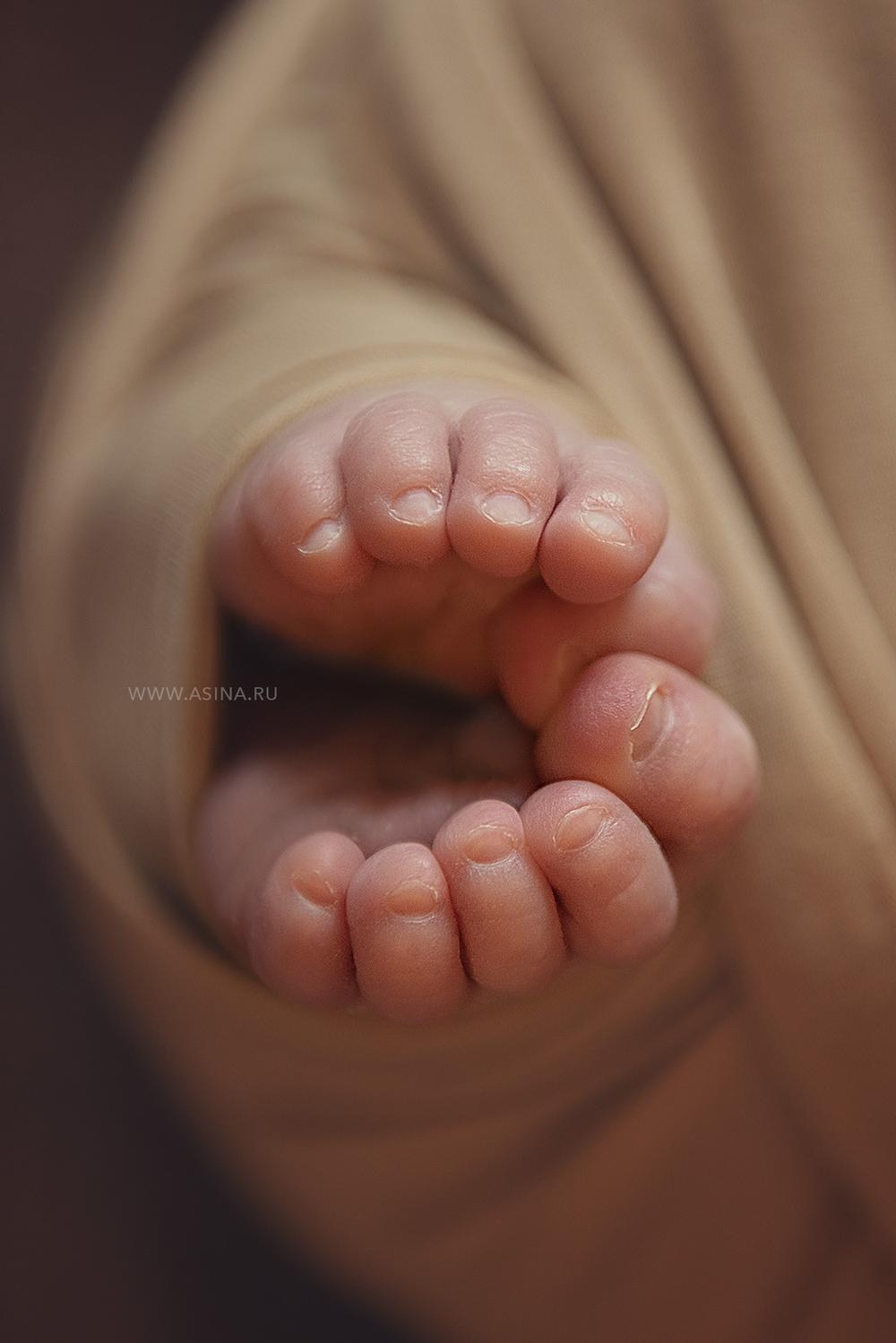 Новорожденные. Фотограф новорожденных в Москве Ирина Асина