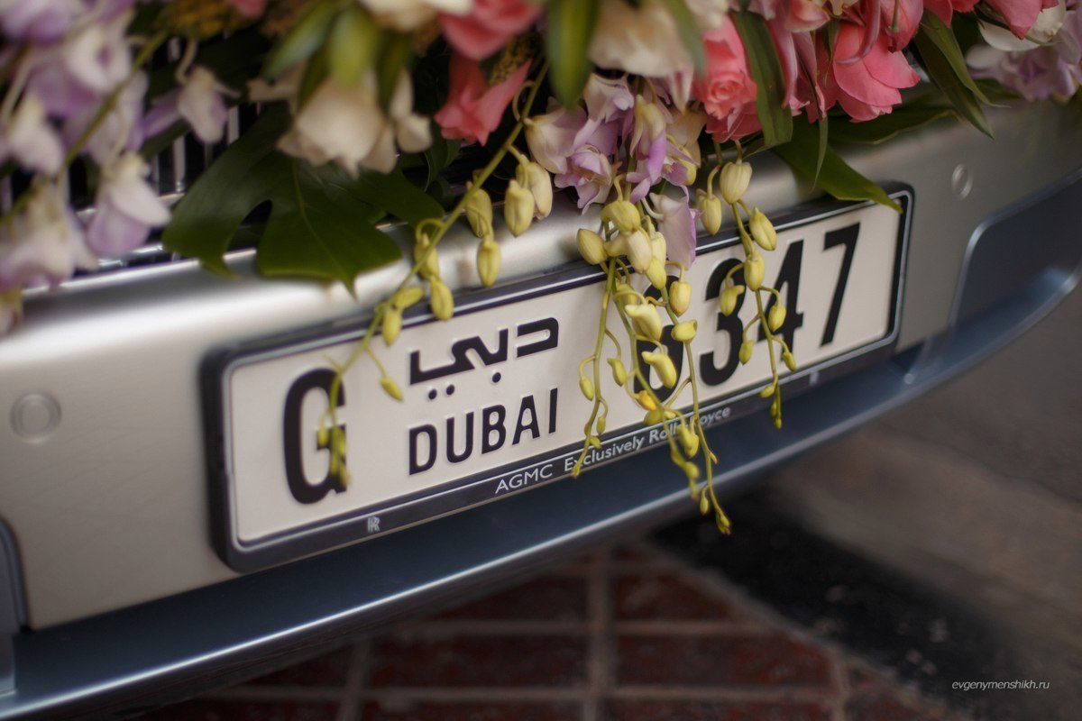 Марина и Вайл. Семейный, свадебный, рекламный фотограф в Челябинске Евгений МЕНЬШИХ