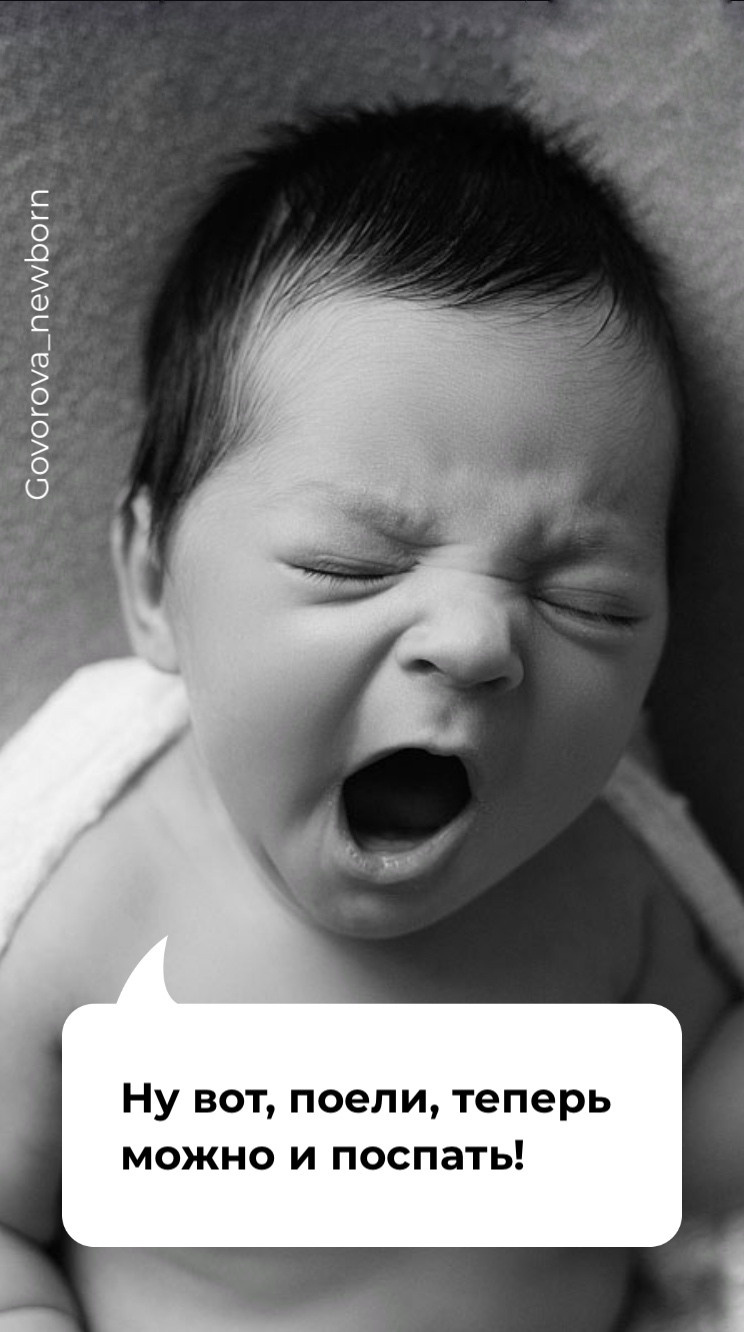 Новорожденные. Главная