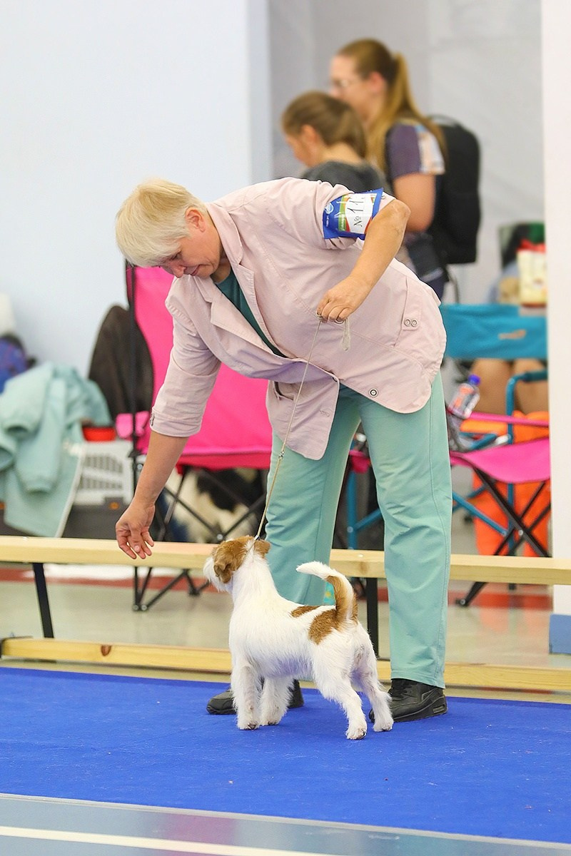 Port Fortis Nord Star