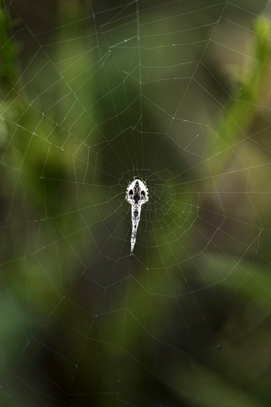 Фотопленэр на болоте. Фотообъединение Самарского областного отделения Союза журналистов России