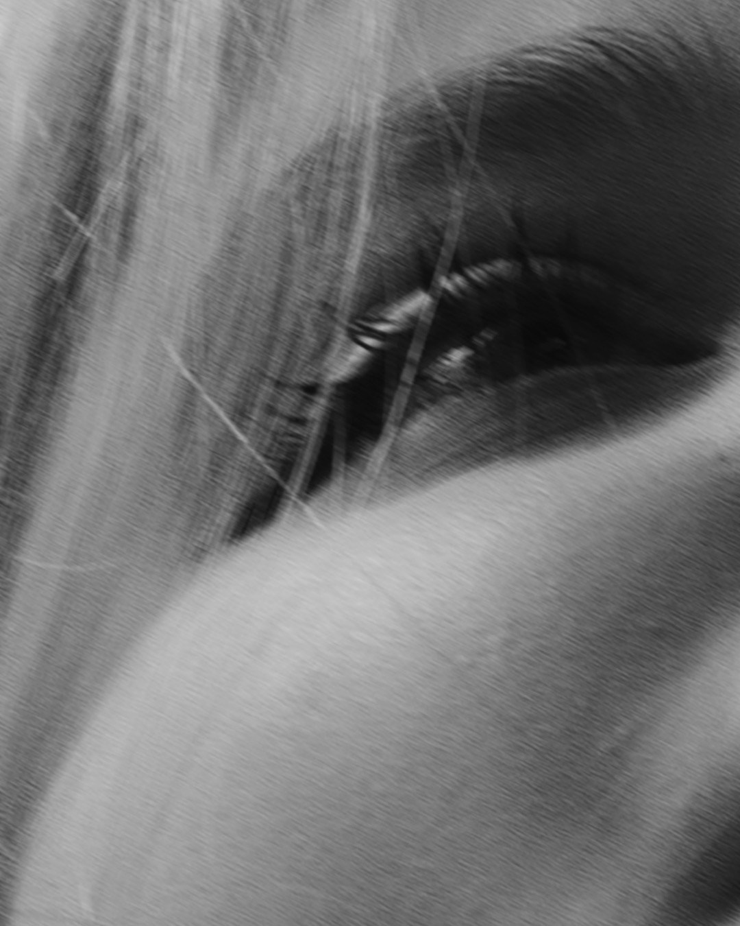 Саша и Асти. Фотограф анималист в Москве и Санкт-Петербурге Свиридова Анна