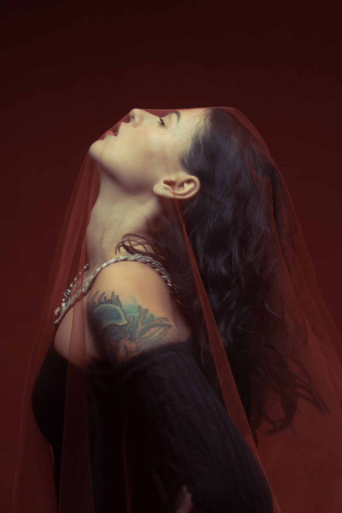 Портфолио. Фотограф